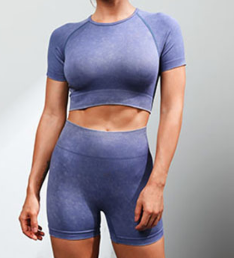 Women's Seamless Running & Yoga Suit – Short Sleeve Top & Shorts Set