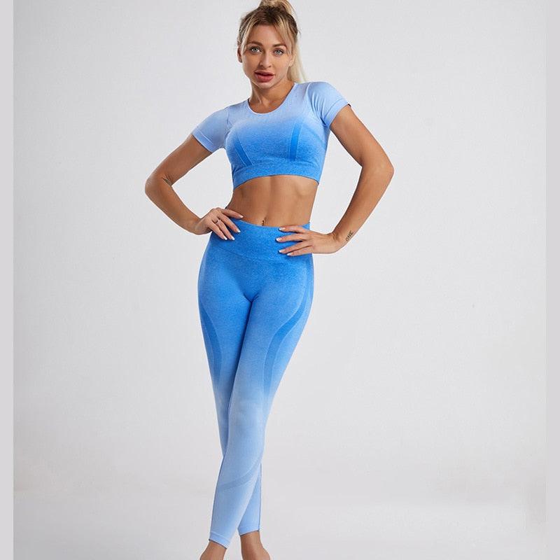 Women's Two-Piece Seamless Yoga Suit – Crop Top & Leggings